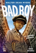 Cover: Bad Boy: A Graphic Memoir - HarperCollins