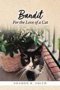 Cover: Bandit - Palmetto Publishing