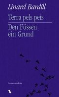 Cover: Terra pels peis / Den F&uuml;ssen ein Grund - Chasa Editura Rumantscha