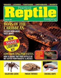 Abbildung von: Practical Reptile Keeping - September 2021 - Lulu.com