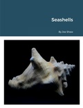 Cover: Seashells - Lulu.com