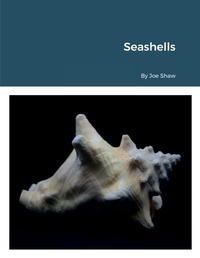 Enlarge image Cover: Seashells - Lulu.com