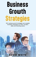 Cover: Business Growth Strategy - Aldwych Factors Ltd