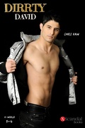 Cover: Dirrty David - X-Scandal Books