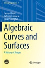 Cover: Algebraic Curves and Surfaces - Springer