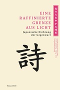 Cover: Eine raffinierte Grenze aus Licht - Wallstein