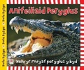Cover: Cyfres Dwlu Dysgu: Anifeiliaid Peryglus - Rily Publications Ltd