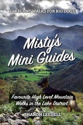Cover: Misty's Mini Guides - Pixel Tweaks Publications