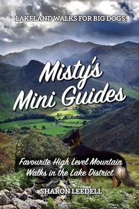 Enlarge image Cover: Misty's Mini Guides - Pixel Tweaks Publications