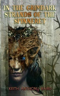 Cover: In the Grimdark Strands of the Spinneret - Brigids Gate Press