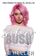 Cover: Silver Bush (Awkward, #3) - JB Heller