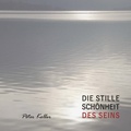 Cover: DIE STILLE SCH&Ouml;NHEIT DES SEINS - Buchschmiede von Dataform Media GmbH