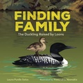 Cover: Finding Family - The Millbrook Press Inc
