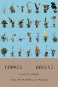 Cover: Adam Silverman: Common Ground - Inventory Press LLC