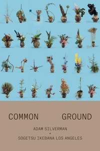 Enlarge image Cover: Adam Silverman: Common Ground - Inventory Press LLC