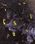 Cover: A.K. Burns: Negative Space - Dancing Foxes Press