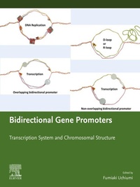 Bild: Bidirectional Gene Promoters - Elsevier