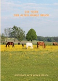 Cover: Wie kommt das Pony auf den Gnadenbrothof? - AMB Production