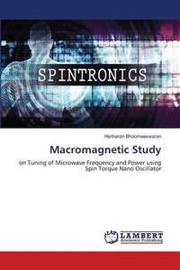 Abbildung von: Macromagnetic Study - LAP Lambert Academic Publishing