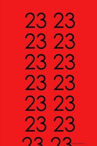 Enlarge image Cover: Thoughts of a 23 - Lulu.com