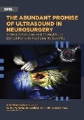 Cover: The Abundant Promise of Ultrasound in Neurosurgery - SPIE Press