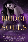 Cover: Bridge of Souls - Waterhouse Press