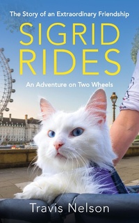 Enlarge image Cover: Sigrid Rides - Radar