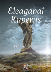Enlarge image Cover: Eleagabal Kuperus - epubli