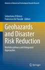 Cover: Geohazards and Disaster Risk Reduction - Springer