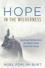 Cover: Hope in the Wilderness - Wipf and Stock Publishers