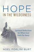 Cover: Hope in the Wilderness - Wipf and Stock Publishers