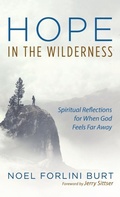 Cover: Hope in the Wilderness - Wipf & Stock Publishers