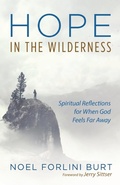 Cover: Hope in the Wilderness - Wipf & Stock Publishers