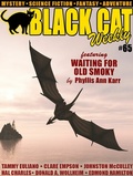 Cover: Black Cat Weekly #65 - Wildside Press