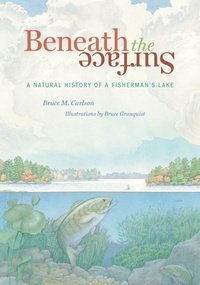 Enlarge image Cover: Beneath the Surface - Minnesota Historical Society Press