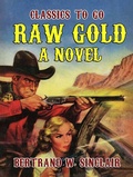 Cover: Raw Gold A Novel - OTB eBook publishing