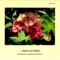 Cover: --- bevor wir fallen - edition zaubernuss
