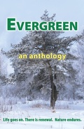 Cover: Evergreen - Bridge House Publishing