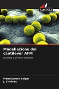 Cover: Modellazione del cantilever AFM - Edizioni Sapienza