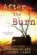 Cover: After the Burn - Rogue Owl Press