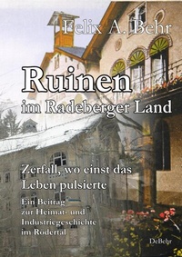 Abbildung von: Ruinen im Radeberger Land - Zerfall, wo einst das Leben pulsierte - Ein Beitrag zur Heimat- und Industriegeschichte im Rödertal - Verlag DeBehr