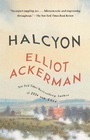 Cover: Halcyon - Vintage Books