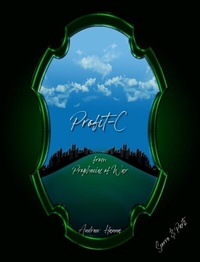 Abbildung von: Profit-C - Andrew Hanna