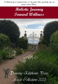 Cover: Holistic Journey Toward Wellness - Dancing Elephants Press
