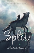 Cover: Split - Andrew Zellgert