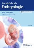 Bild: Kurzlehrbuch Embryologie - Thieme
