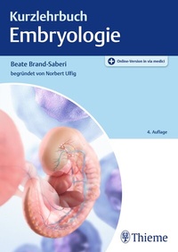 Abbildung von: Kurzlehrbuch Embryologie - Thieme