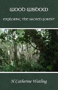 Abbildung von: Wood Wisdom - Exploring the Sacred Forest - WildCat Arts Publishing