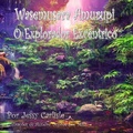 Cover: Wasemusara Amurupi (O Explorador Excentrico) - Michael Raymond Astle