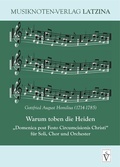 Cover: Warum toben die Heiden - Schiller Verlag